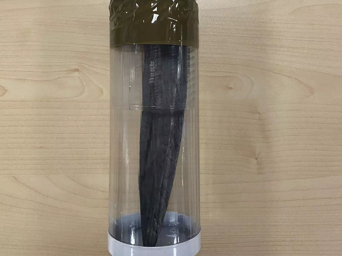 Chilling image shows knife seized from sick grooming gang leader