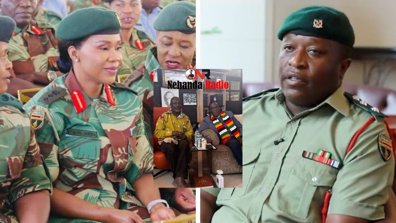 Parallel Structures or Parallel Stupidity? Temba Mliswa’s misfired crusade