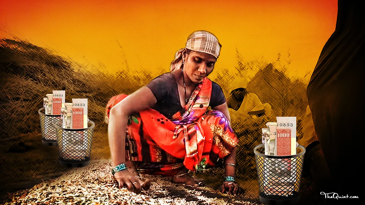 A Quiet Crisis: How Climate Change Pushes Indian Women into Agricultural Penury