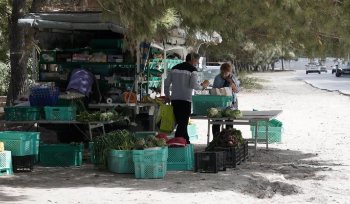 Judge rules government not at fault in Ta’ Qali pitkala licence dispute