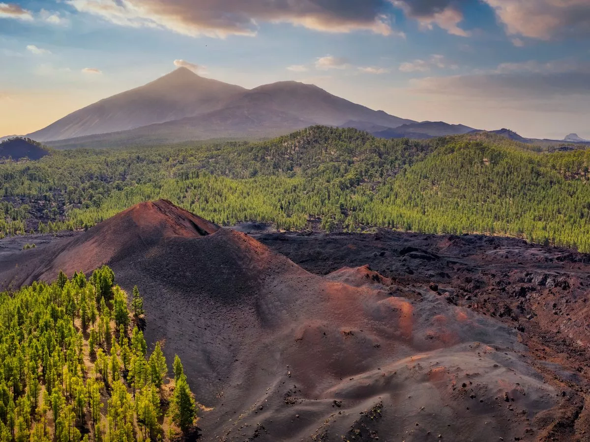 UK holidaymakers face new charge when visiting Tenerife from November