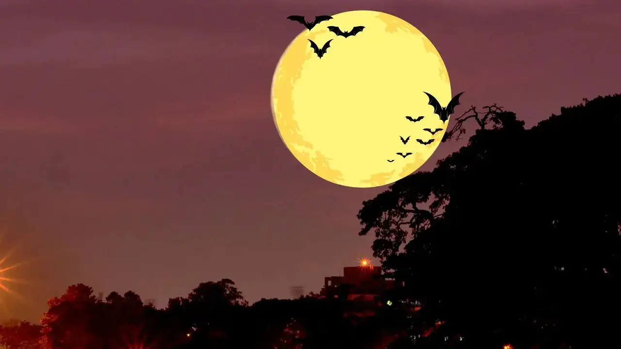 November Supermoon 2025: Date, Time, Visibility In India, Where To Watch, And More