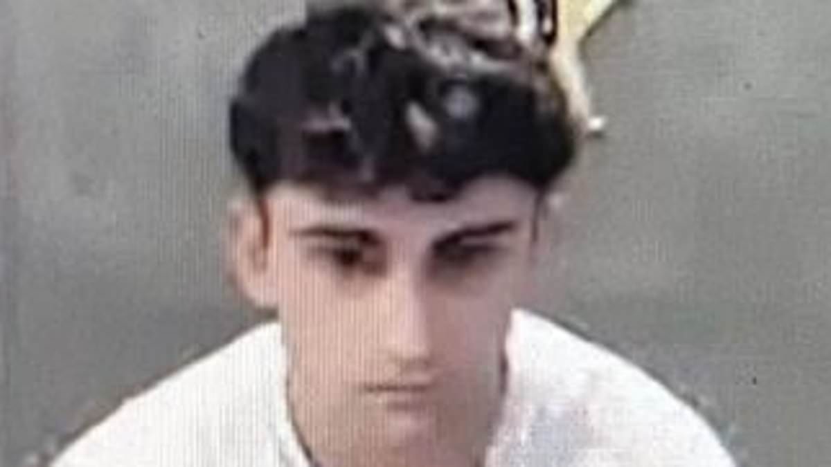 Teen rams speeding Porsche into crosswalk and kills three college kids in horror crash