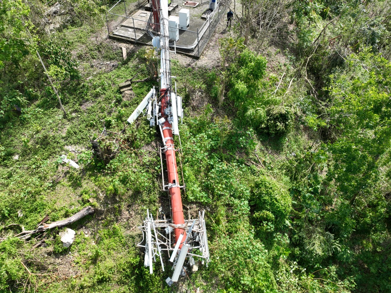 Liberty Caribbean Foundation mobilises hurricane relief for Jamaica