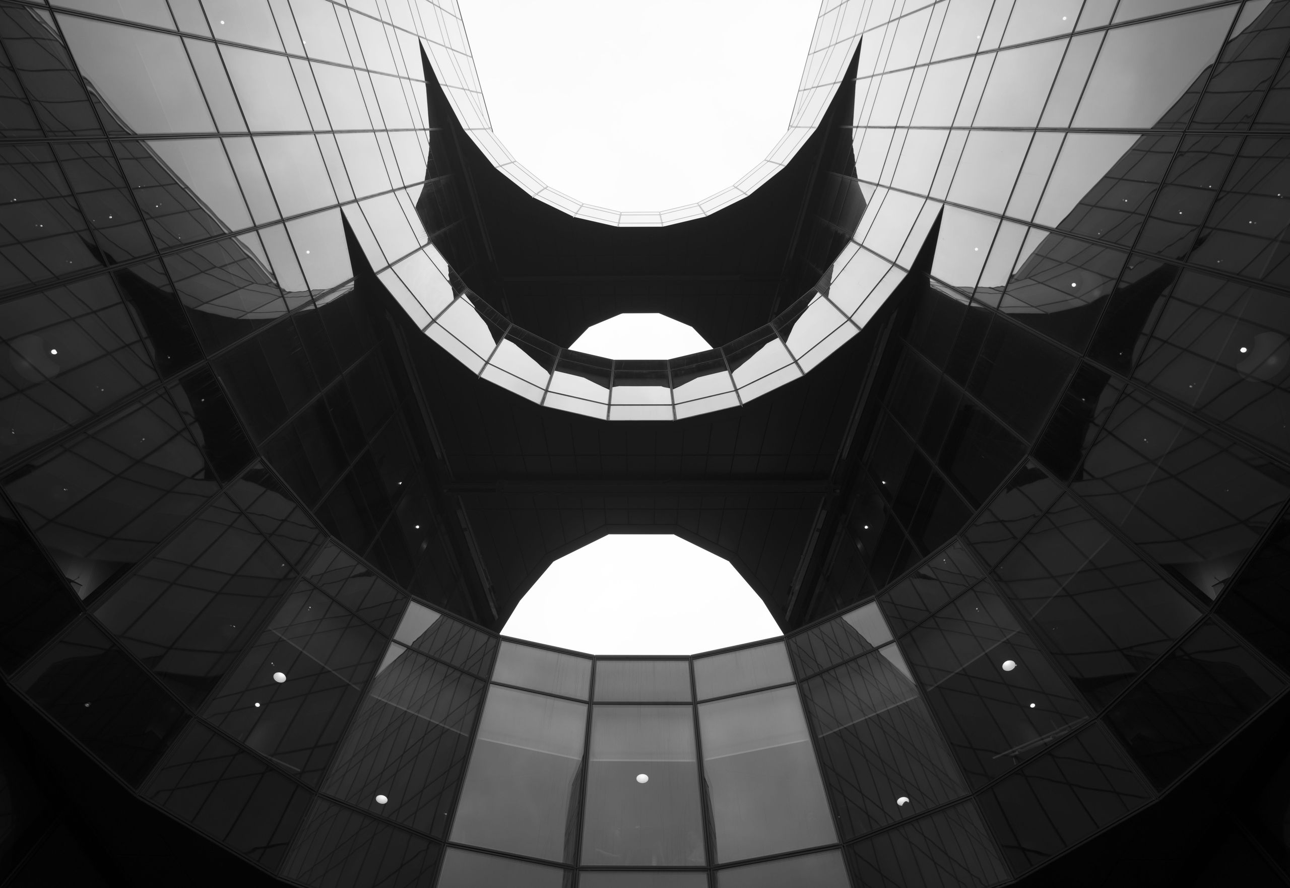 These fill the frame photography examples will help elevate your frame-filling potential