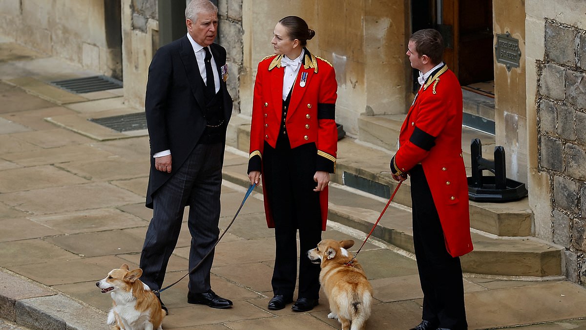 Andrew is told to keep his dogs away from lake in fresh Windsor Royal Lodge blow to the disgraced ex-prince