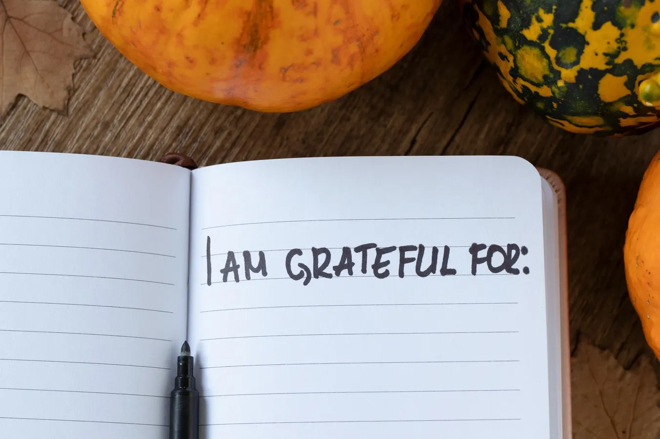 Gratitude: 4 Benefits When You Hold The Perspective Less Taken