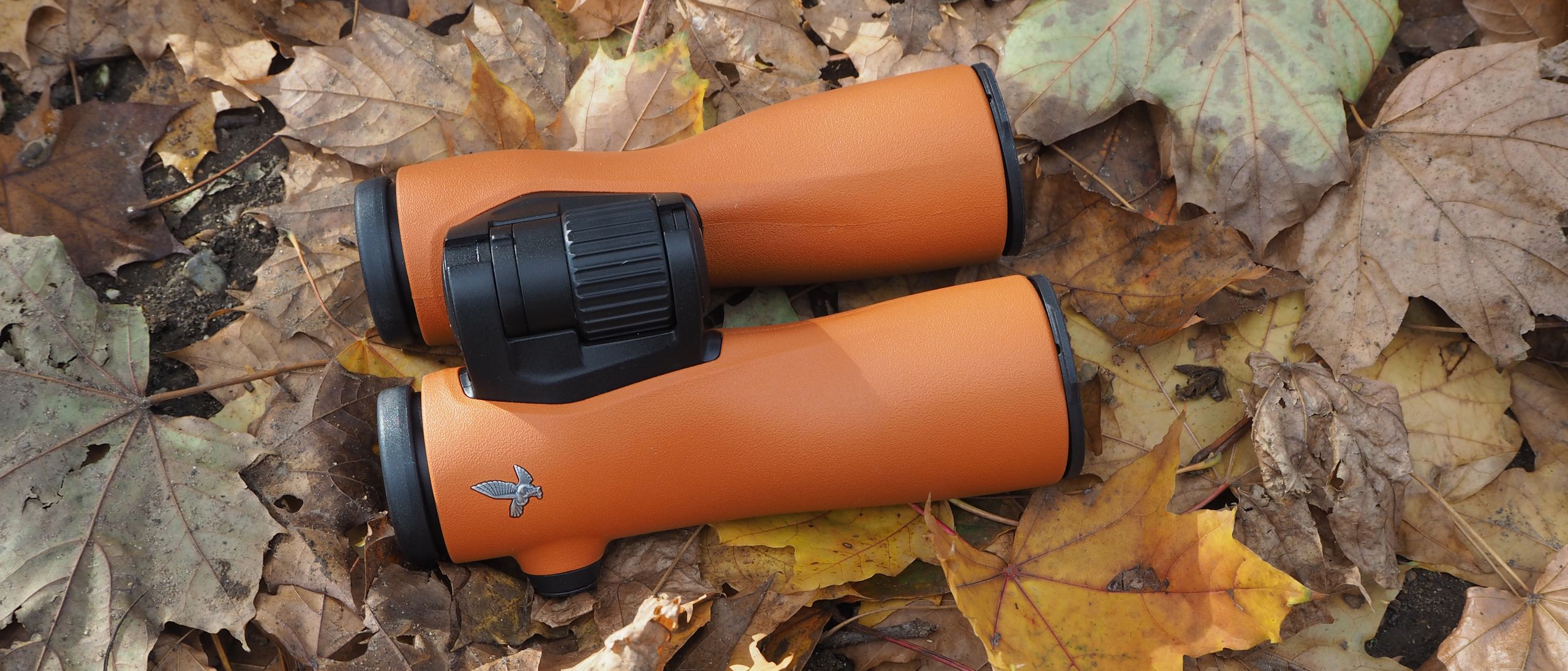 Swarovski NL Pure 10x42 binoculars review