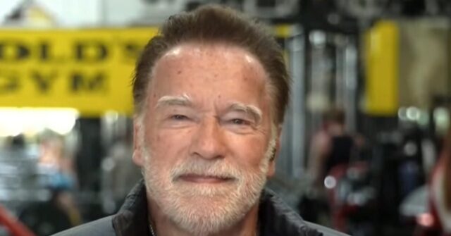 Schwarzenegger Rejects Tapper Effort to Blame GOP for 'Extreme Gerrymandering' — 'Gerrymandering Going on for 200 Years'