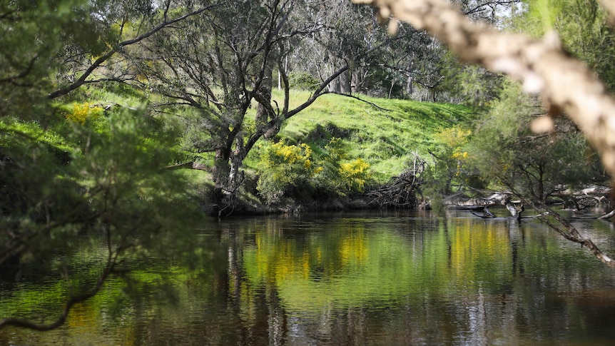 'Telling the truth': WA governor to apologise for Pinjarra Massacre