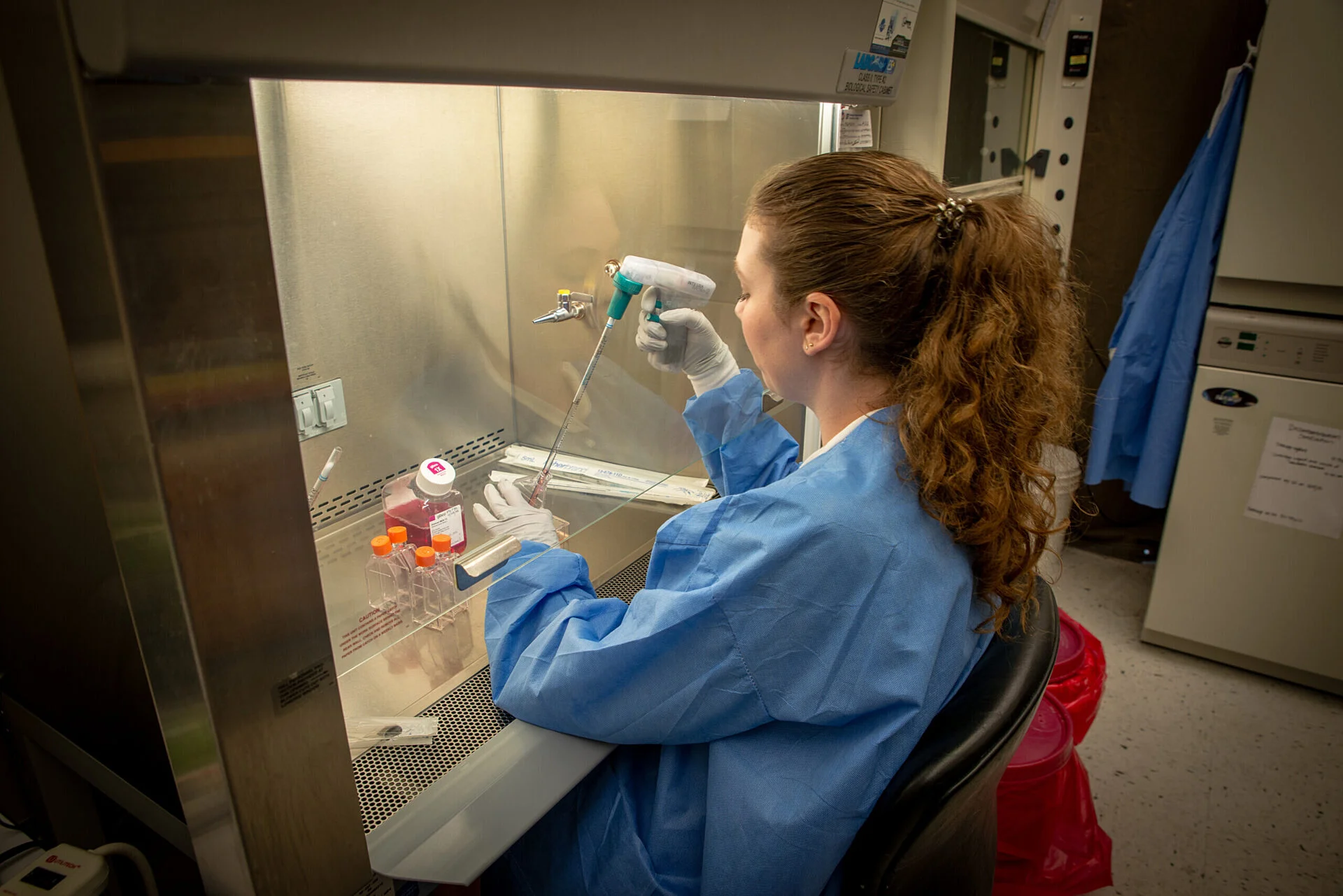 Florida house cat named Pepper helped researchers discover new strain of virus