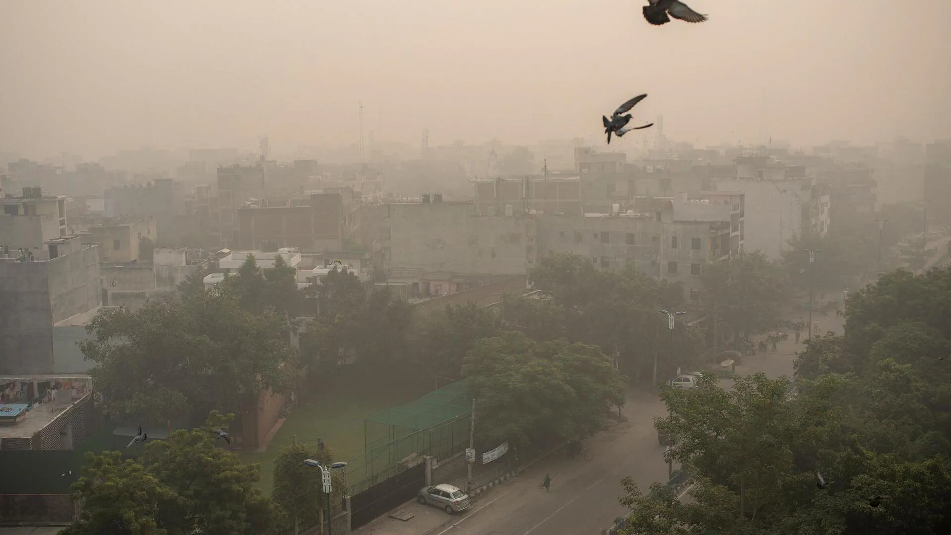 Air pollution leading cause of death in Delhi: Study