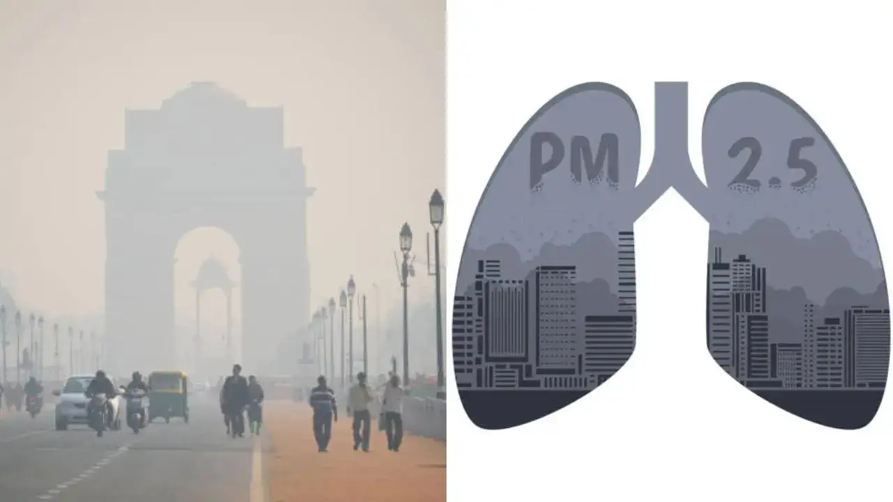 Pollution Crisis: Why a Leading Lung Specialist Urges People to Move Out of Delhi-NCR?