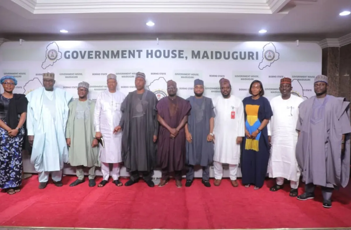 Zulum unveils plan for Borno-owned electricity outfit