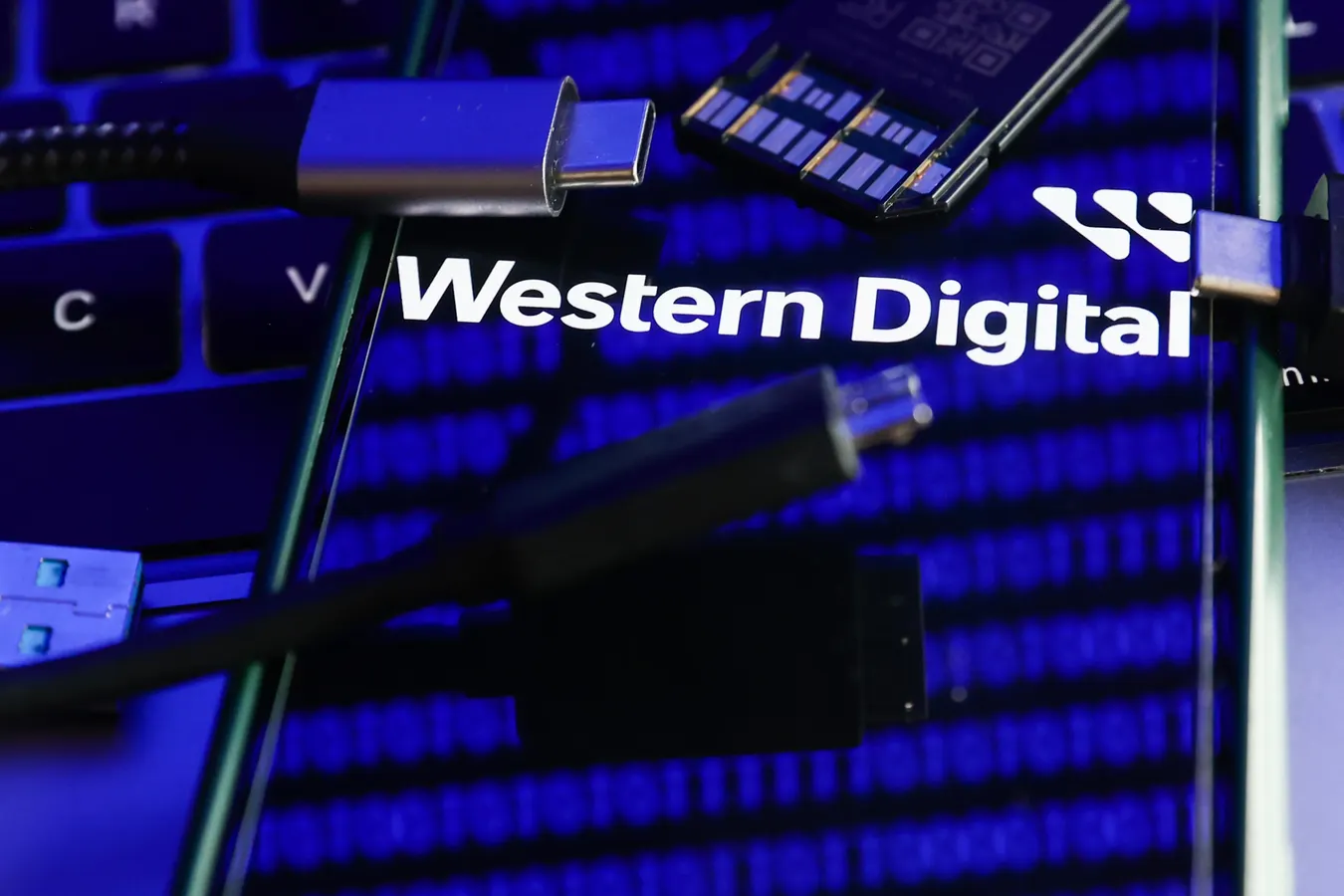 Among High Flyers, I Like Western Digital And Micron