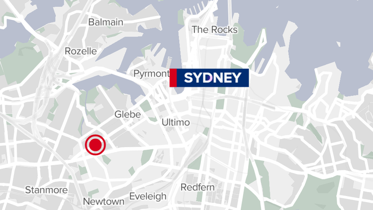 Man fights for life after being attacked by dog inside Sydney unit