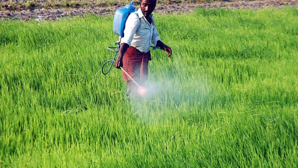 Beyond chemicals: Why biofertilisers are becoming the cornerstone of climate-smart agriculture