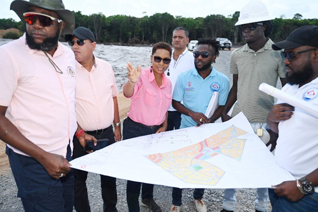 Allottees to soon identify house lots – Minister Croal says