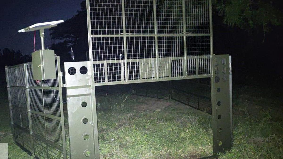 Remote-controlled cage placed to trap crop raiding wild boars near Coimbatore