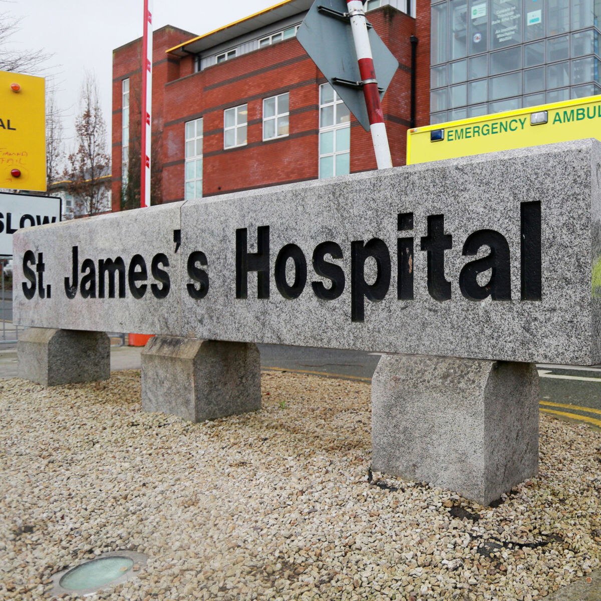 Ireland's TB care centre says it cannot meet current or future demand as cases soar