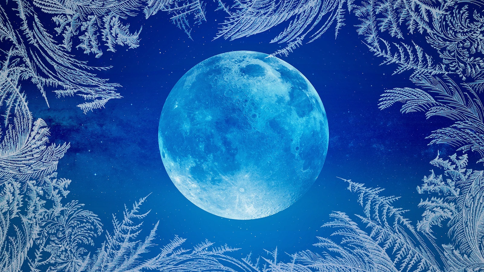November's beaver moon 2025: When to see the full supermoon, what it means for your zodiac sign