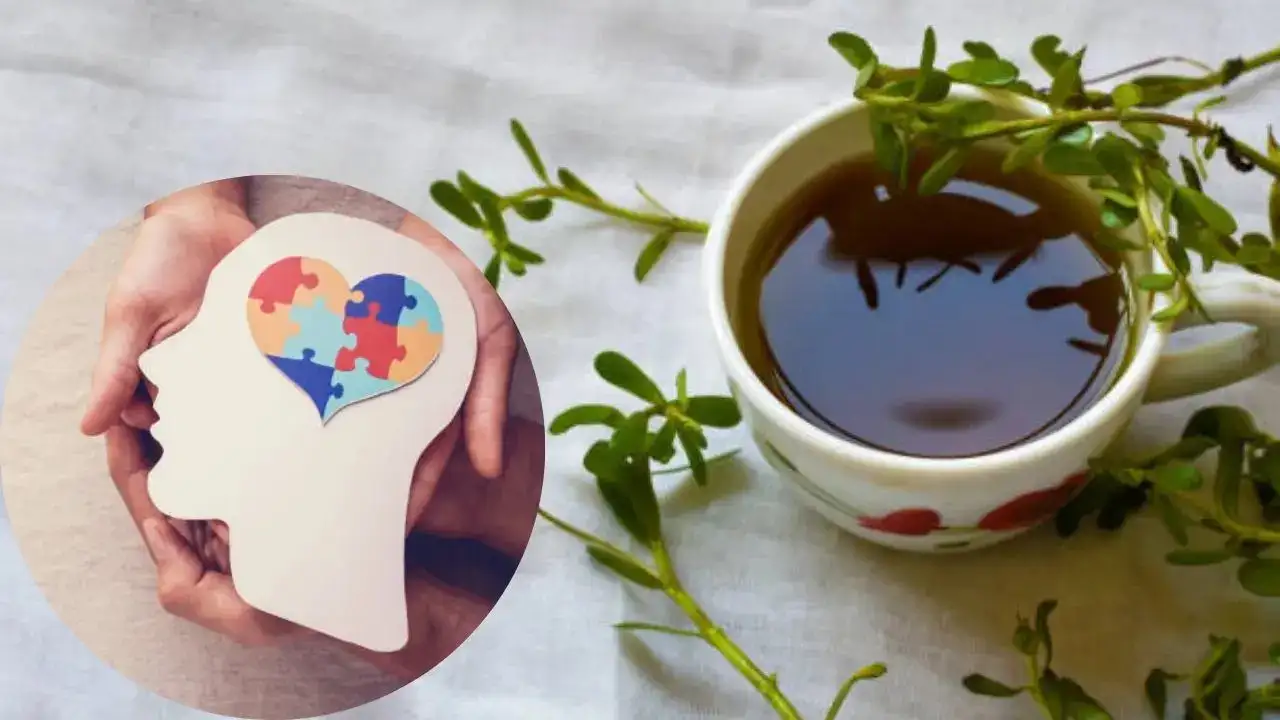 This Ancient Indian Herb Boosts Cognitive Health: How Brahmi Works as a Brain Wonder