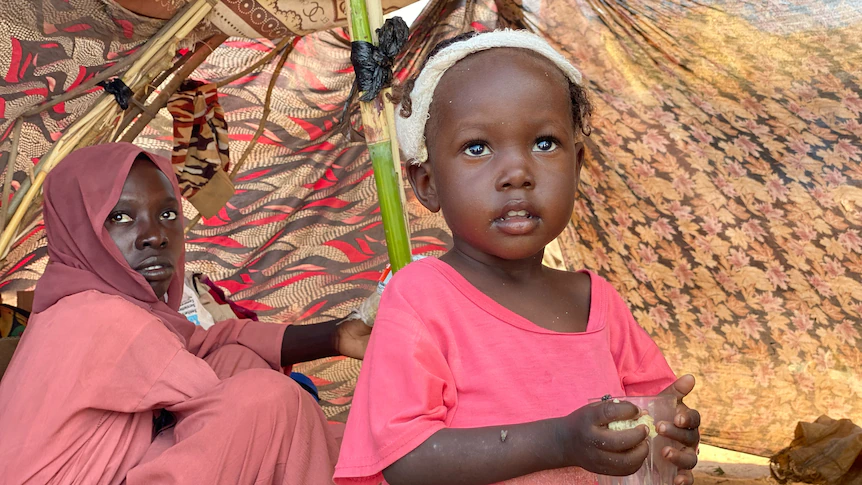 Mass killings reported in militia attack on Darfur hospital in Sudan