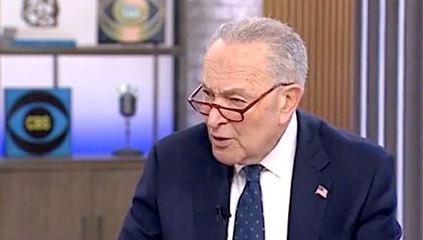 SNAP back: Schumer Shutdown advocates get temporary reprieve from federal judge