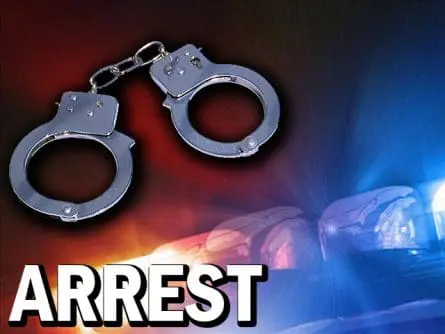 Anti-Narcotics Agency Intercepts Major Cannabis Haul Near Accra Mosque