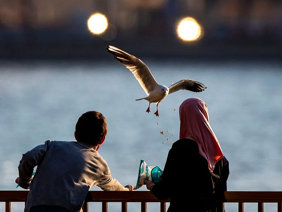Cooler days ahead: UAE sees temperature drop, chance of rain this week