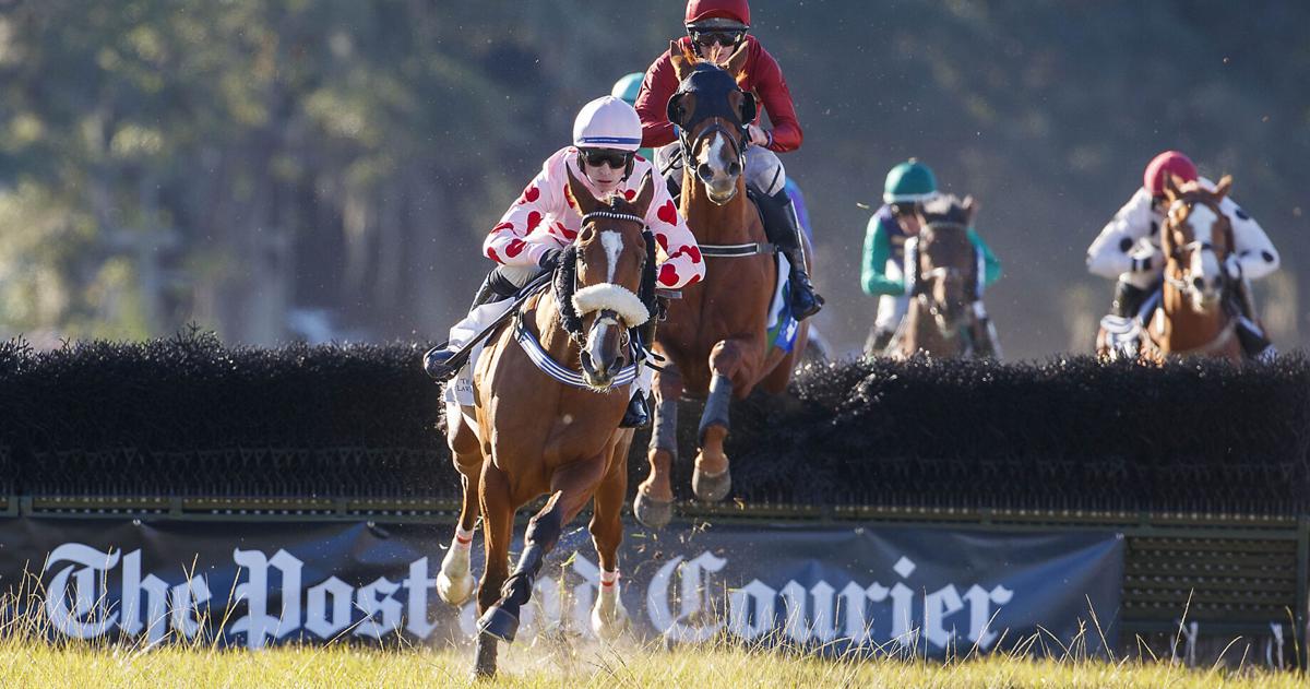 A look at horse racing ahead of Steeplechase of Charleston
