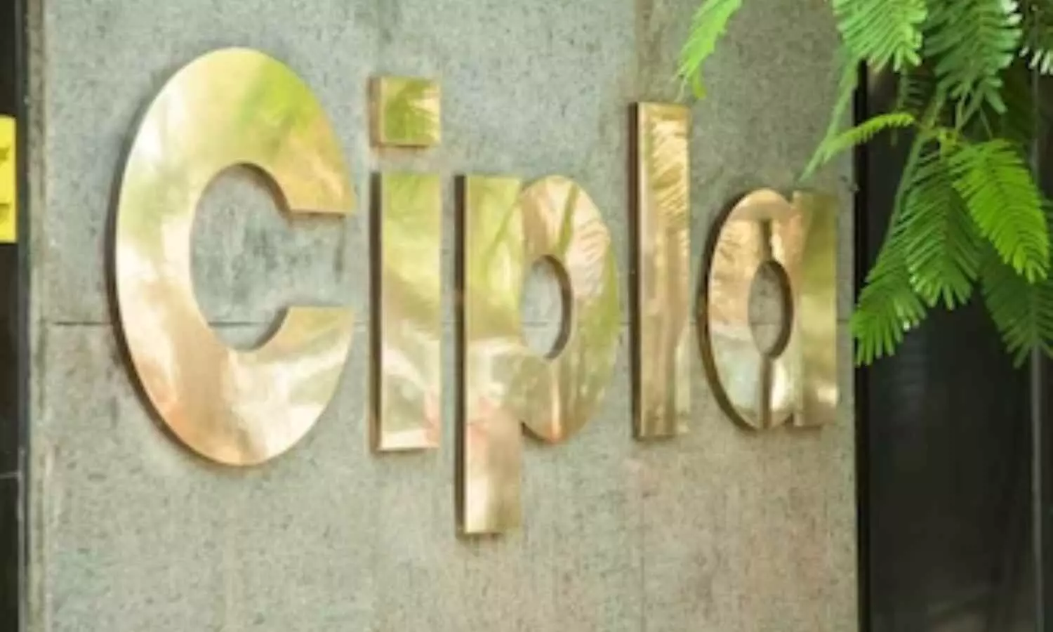 Cipla profit up 3.7 percent at Rs 1353 crore in Q2
