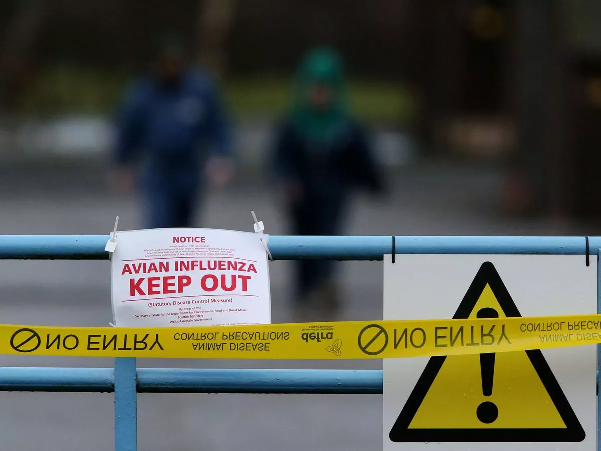 Suspected bird flu found in commercial poultry premises