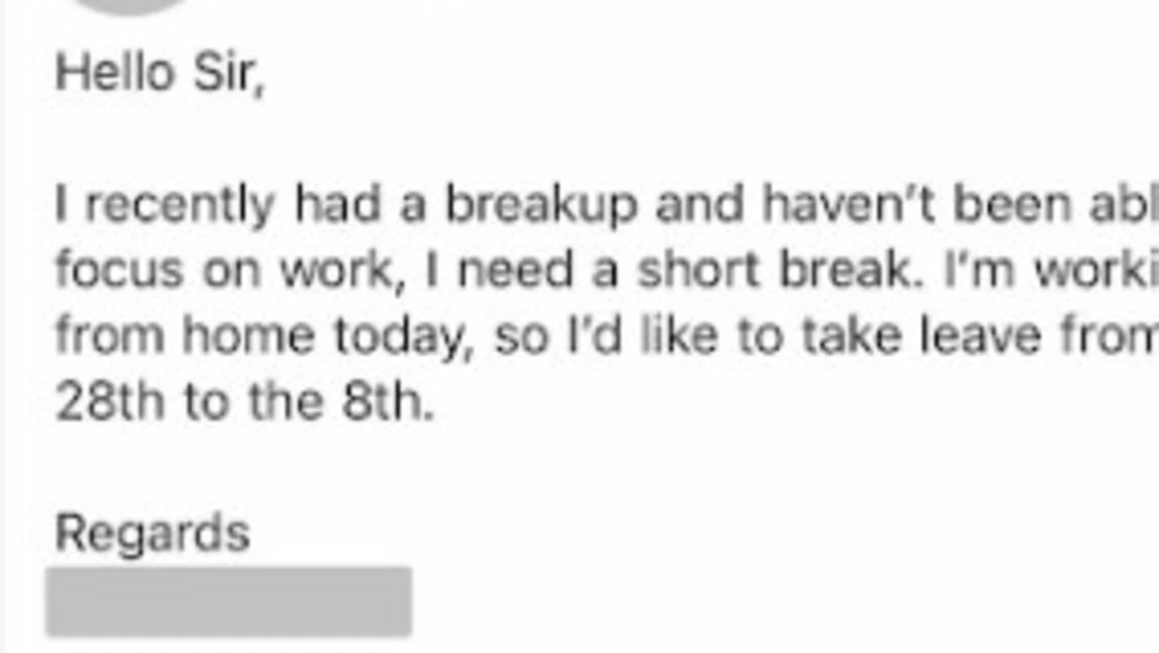 ‘Most honest leave application’: Reason Gen Zer asked to take annual leave goes viral