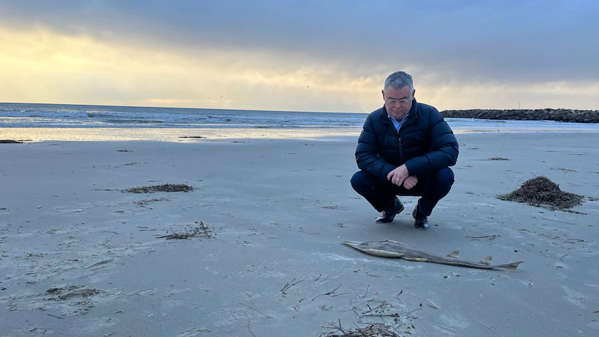 New environment laws may help or hinder, depending on who you ask