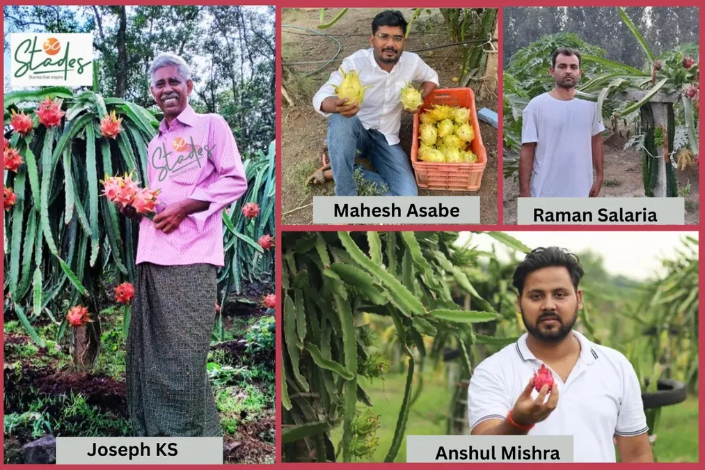 Three engineers and an ex-banker earning lakhs from dragon fruit farming