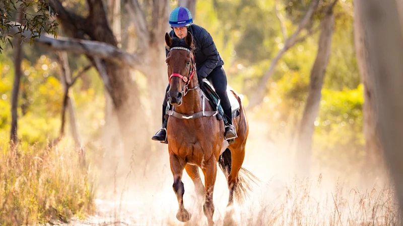 Melbourne Cup 2025 LIVE: Rain continues as Flemington gets set for biggest day of the year