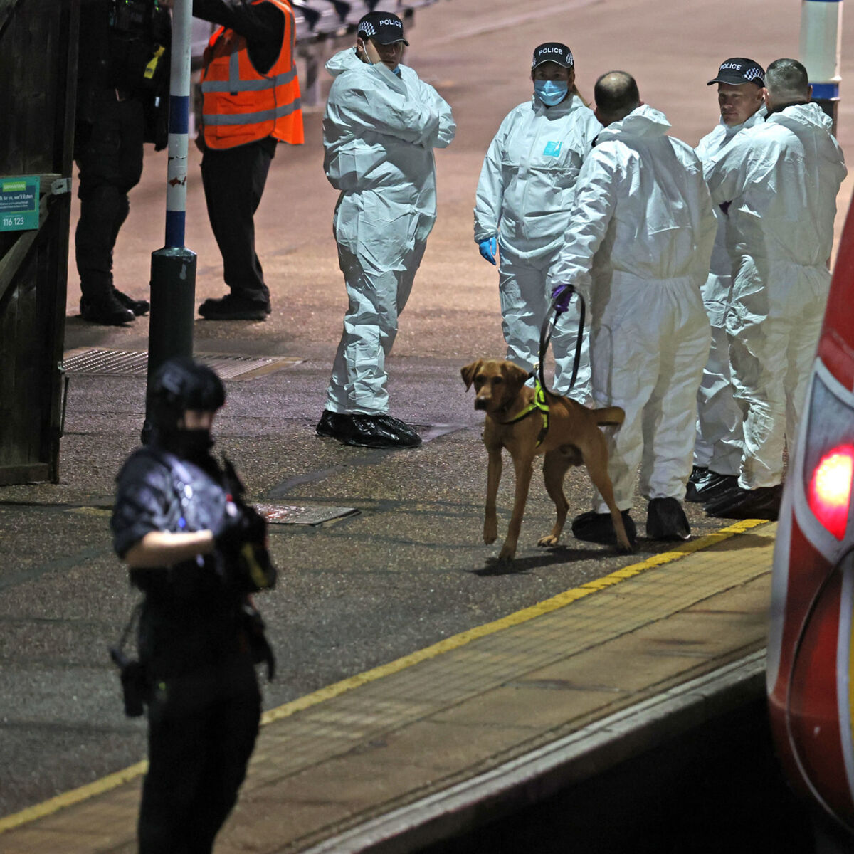 Man charged over mass stabbing also accused of attack on different train earlier