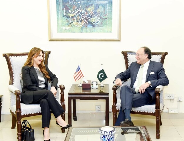 Minerals & mining sector: US, Pakistan discuss avenues of cooperation