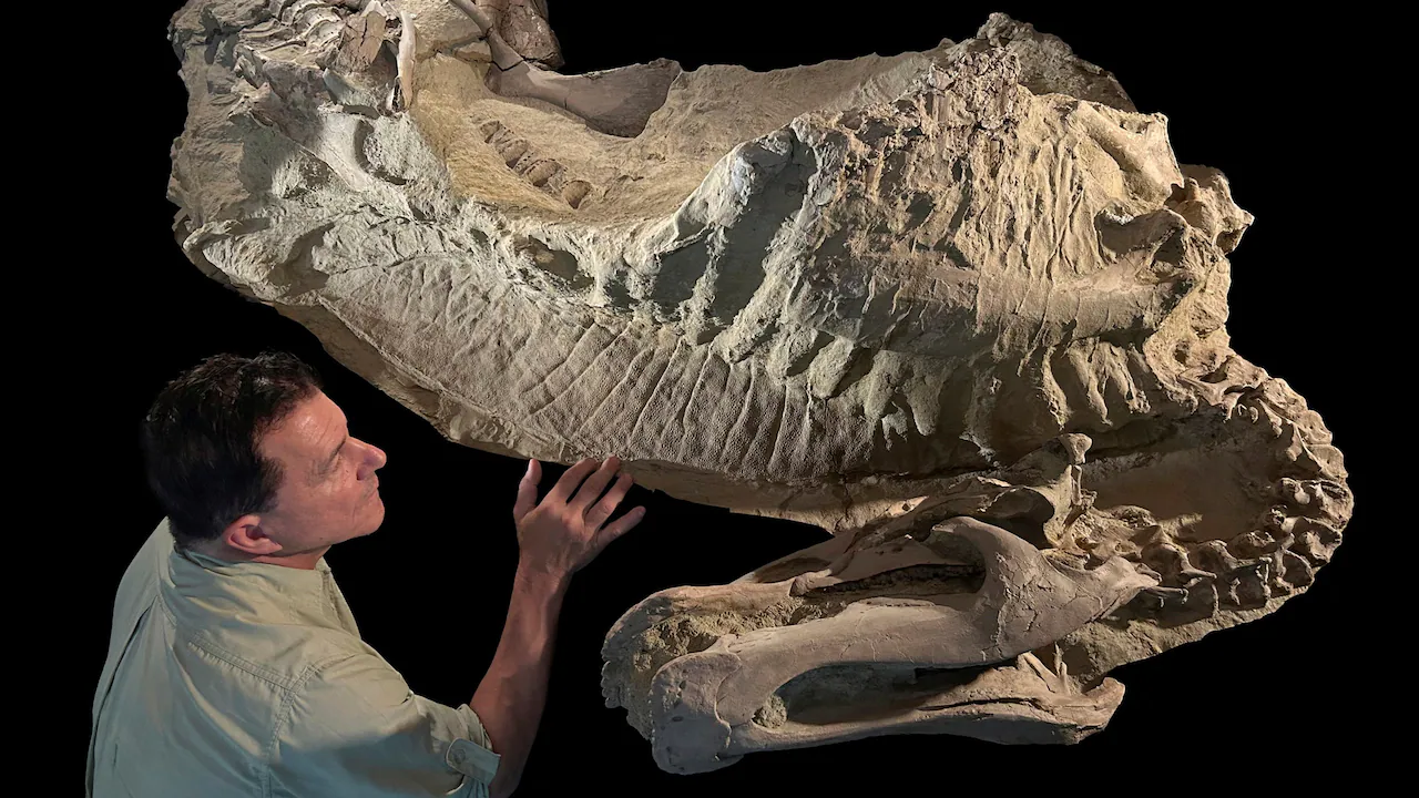 Scientists discover dinosaur 'mummies' with hoofs like a horse