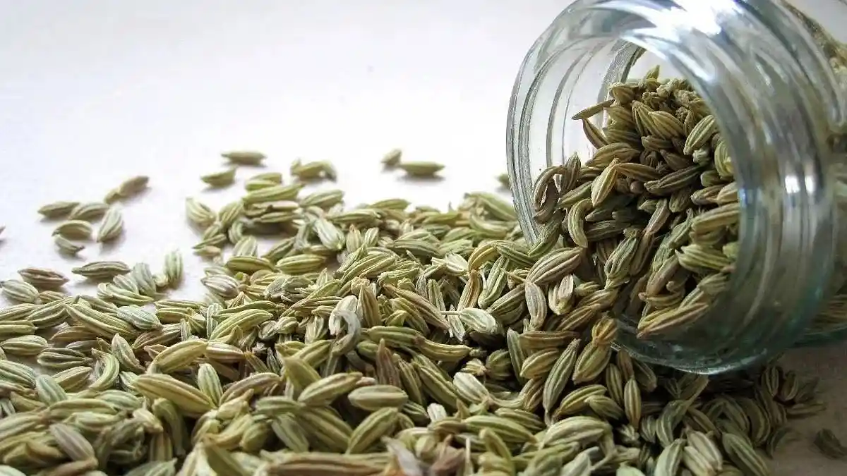 Saunf For Digestion : बदहजमी और मुंह की बदबू से राहत देती है सौंफ, जानिए कैसे