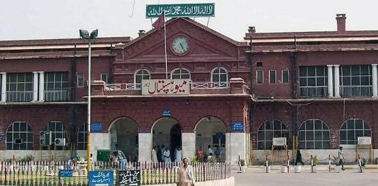 PHC discusses MSDS compliance at Mayo Hospital, affiliated institutions