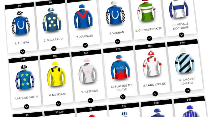 Melbourne Cup 2025: Field, barrier draw, form guide and betting
