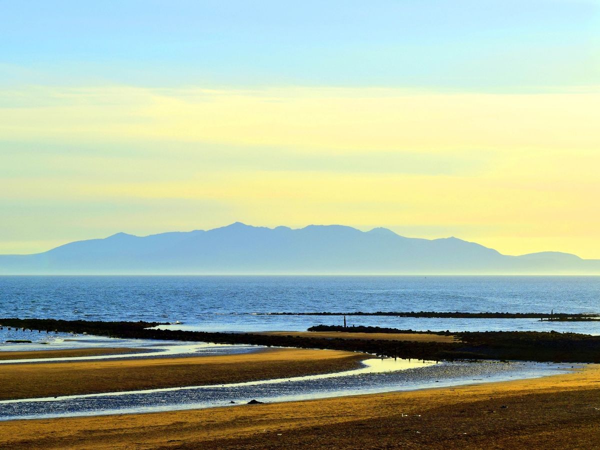 Popular Scottish beaches 'polluted with human and animal faeces'