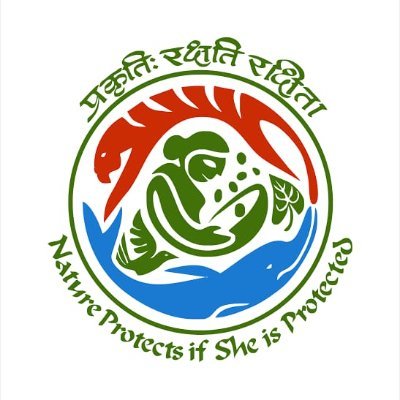 Environmental group demands to curb unregulated construction, tree felling in STR