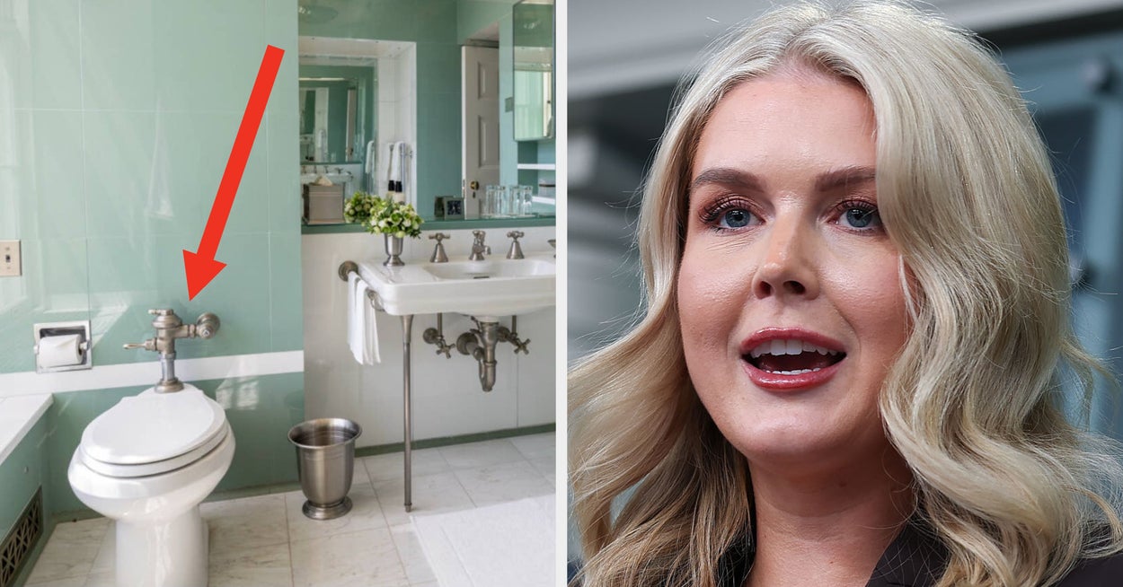 Gavin Newsom Went Off About Karoline Leavitt's Lincoln Bathroom Toilet Comment