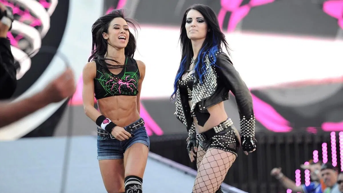 Ex-WWE star Paige sends a two-word reply to AJ Lee