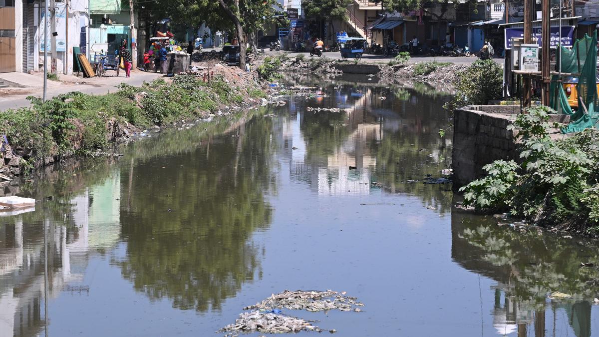 Sewage flow turns Madurai’s waterbodies into drains