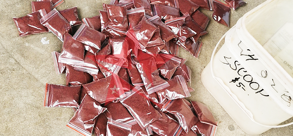 “Copen” drug use takes root in schools