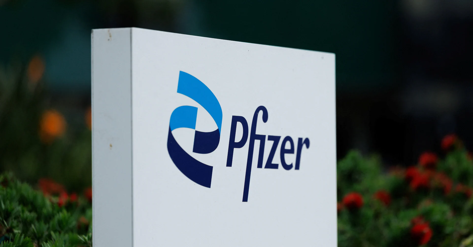 Pfizer sues Metsera, Novo Nordisk over rival obesity drug bid - Reuters